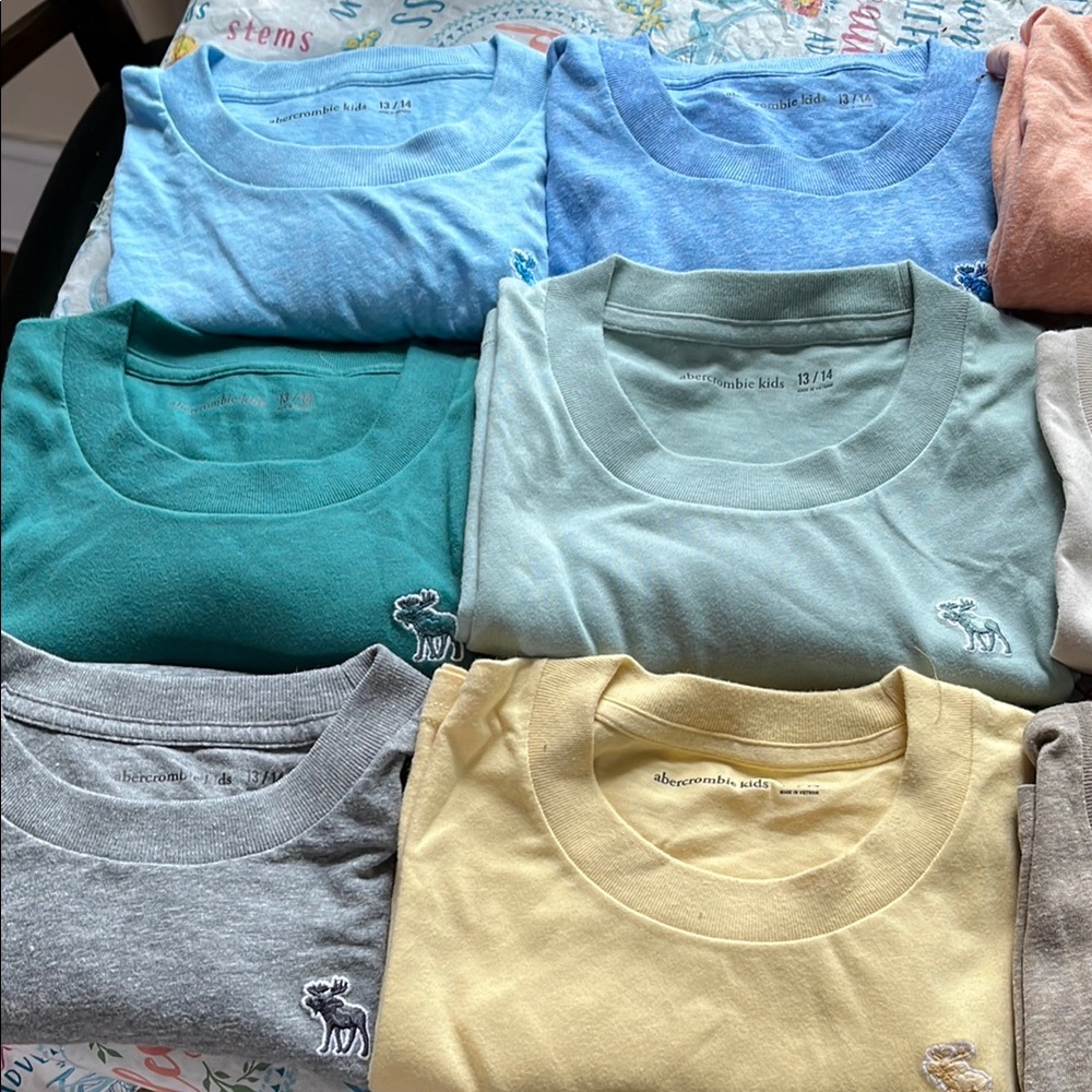 Abercrombie Kids Short Sleeve Tees Blue and Green